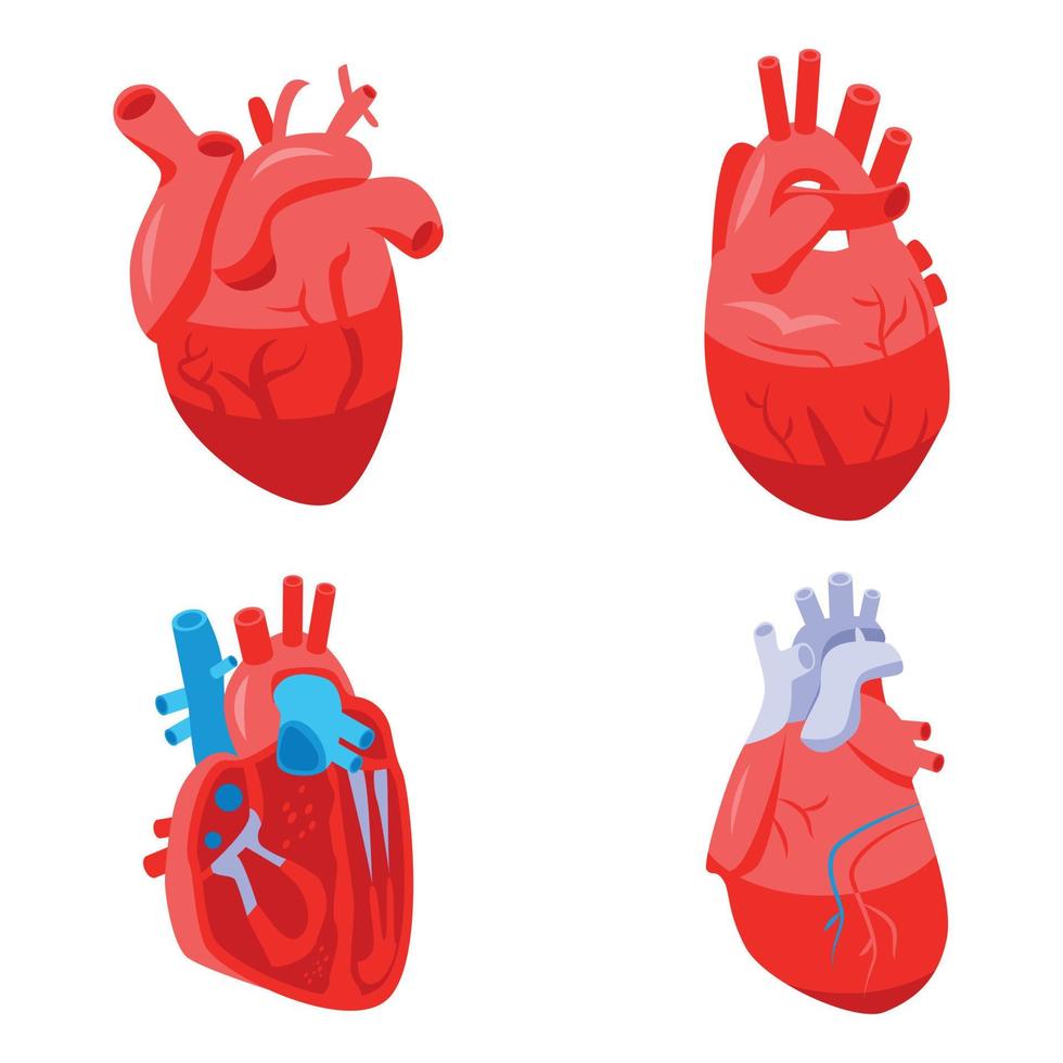 mänskligt hjärta ikoner set, isometrisk stil vektor