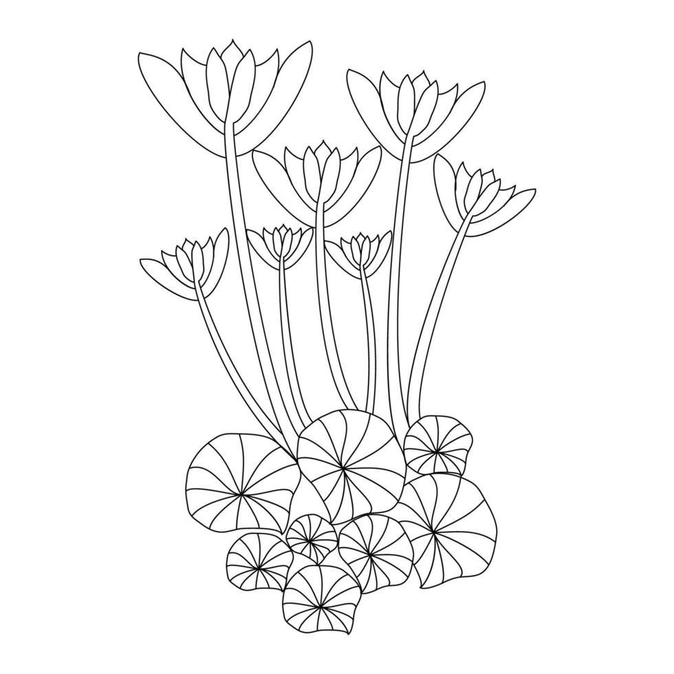 Blumenstrauß aus Lotus und Blättern Bleistiftkunst der blühenden Malseite für Kinder Buntstiftzeichnung vektor