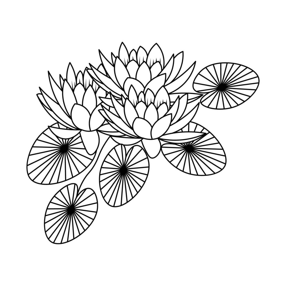 näckros i damm blommande kronblad med löv linjekonst illustration för målarbok vektor