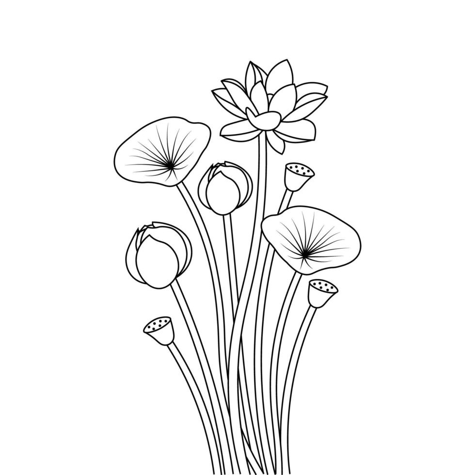 stjärna lotusblomma design av målarbok illustration för linje konst vektor design