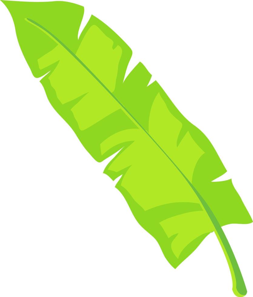 tropisches grünes Blatt. vektor