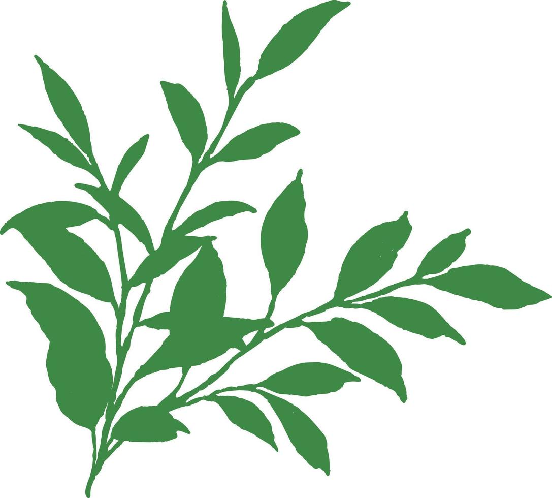 Silhouette von grünen Zweigen. vektor