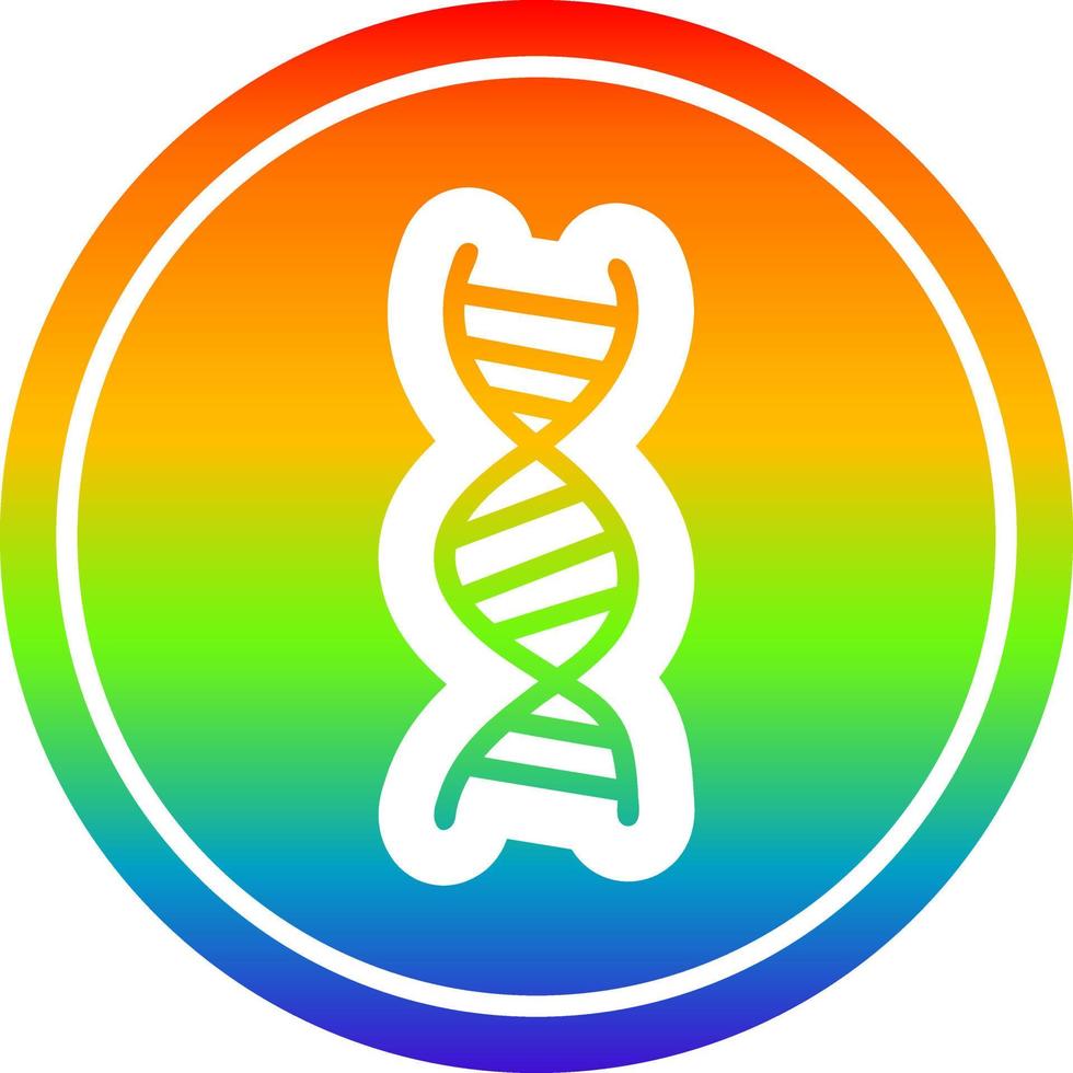 DNA-Kette kreisförmig im Regenbogenspektrum vektor