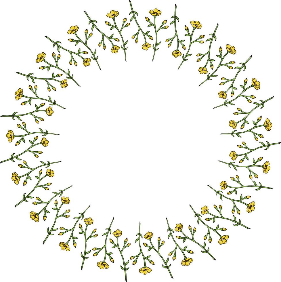runder rahmen mit vertikalen blumen butterblumen auf weißem hintergrund. isolierter Rahmen mit Blumen für Ihr Design. vektor