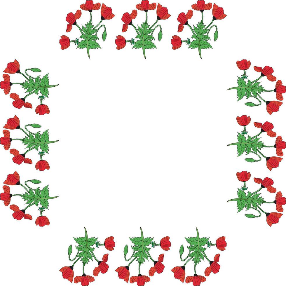 fyrkantig ram med färgade vallmo, vallmoknopp och blad. isolerade krans av röda blommor på vit bakgrund för din design vektor