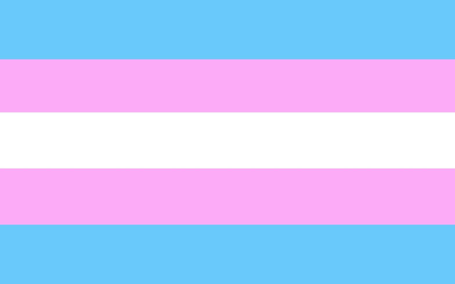 Vektor-Transgender-Flagge. lgbtq plus transgender-flagge. vektor