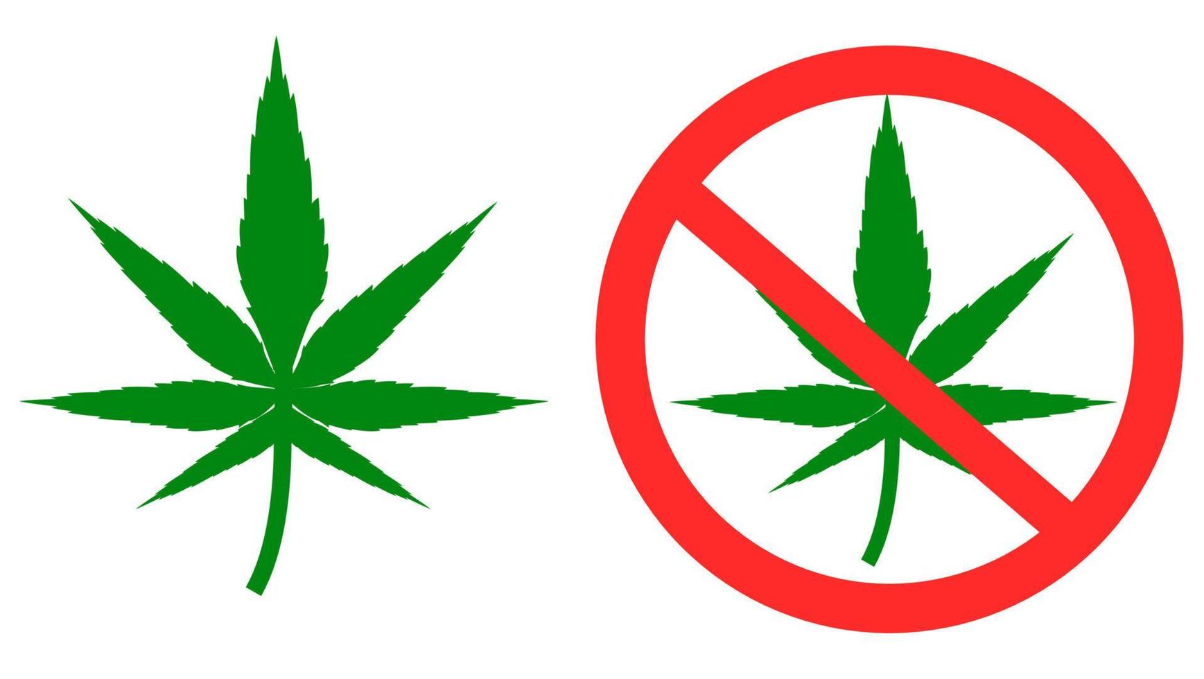 grüne cannabisblätter.medizinisches marihuana.keine droge.nicht rauchen.stopp-marihuana-zeichen isoliert auf weißem hintergrund.eingeschränkte bereiche.vektorillustration.zeichen, symbol, ikone oder logo isoliert.flaches design. vektor