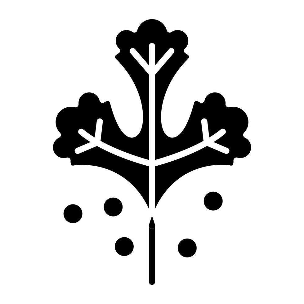 Koriander-Glyphe-Symbol vektor