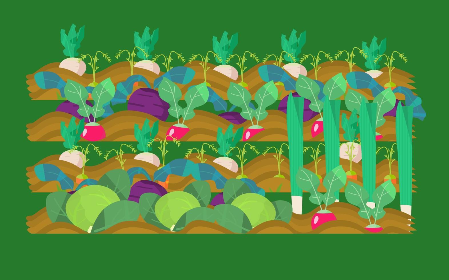 Gemüsegarten-Vektor-Illustration. Rettich, Rüben, Radieschen, Karotten, Kohl, Lauch. vektor
