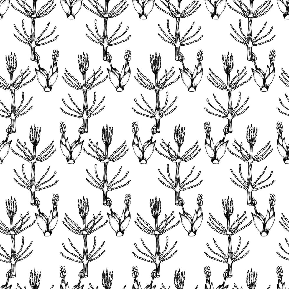 nahtloses botanisches Schwarzweiss-Muster. hand gezeichnete blumenillustration. vektor