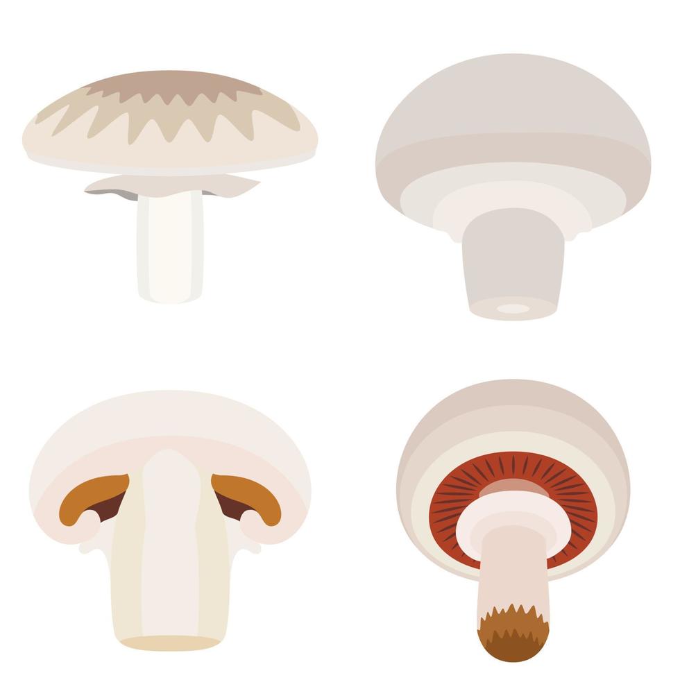 Champignon-Icons gesetzt, flacher Stil vektor