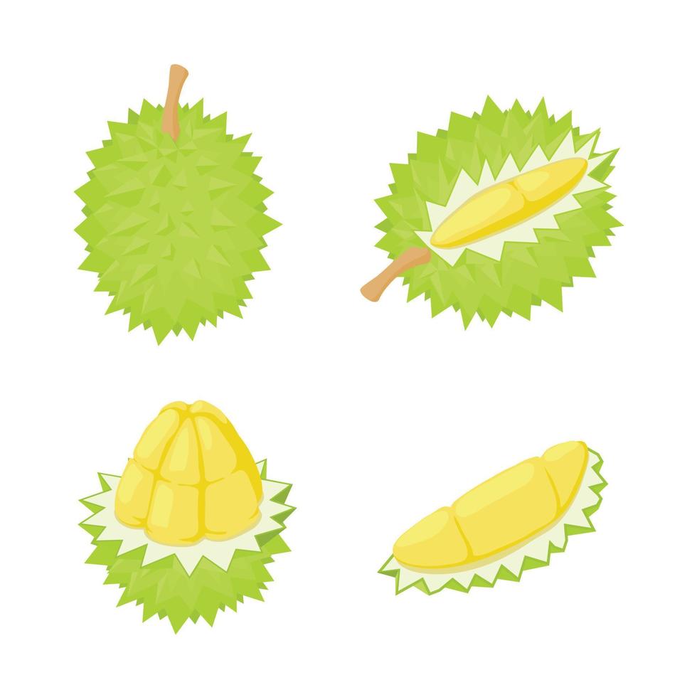 durian-symbole gesetzt, isometrischer stil vektor