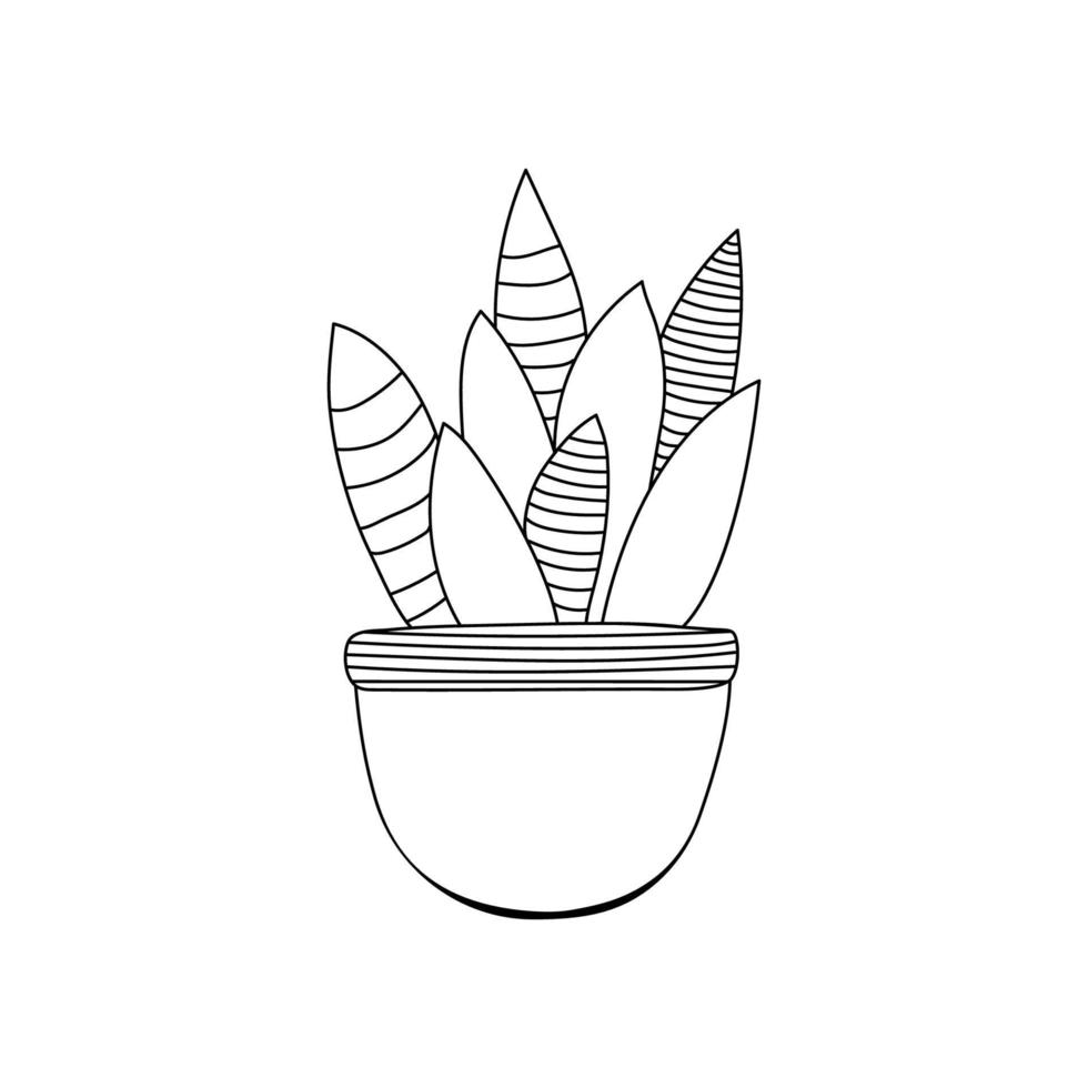 inomhuskaktus i kruka. kaktus dekorativ hemväxt i krukor vektor