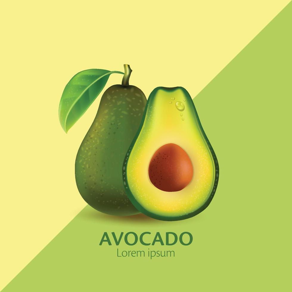 vektor realistische frische obst avocado