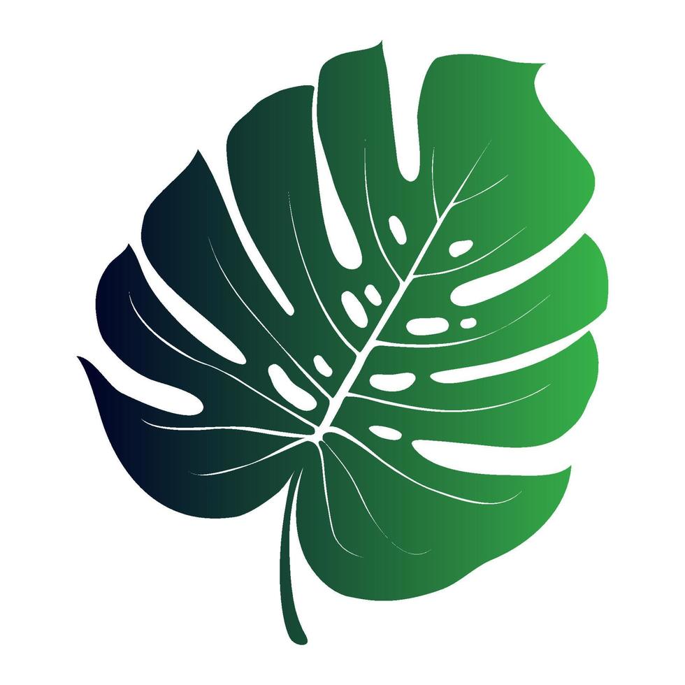 monstera deliciosa pflanzenblatt aus tropischen wäldern isoliert. Vektor für Grußkarten, Flyer, Einladungen, Webdesign