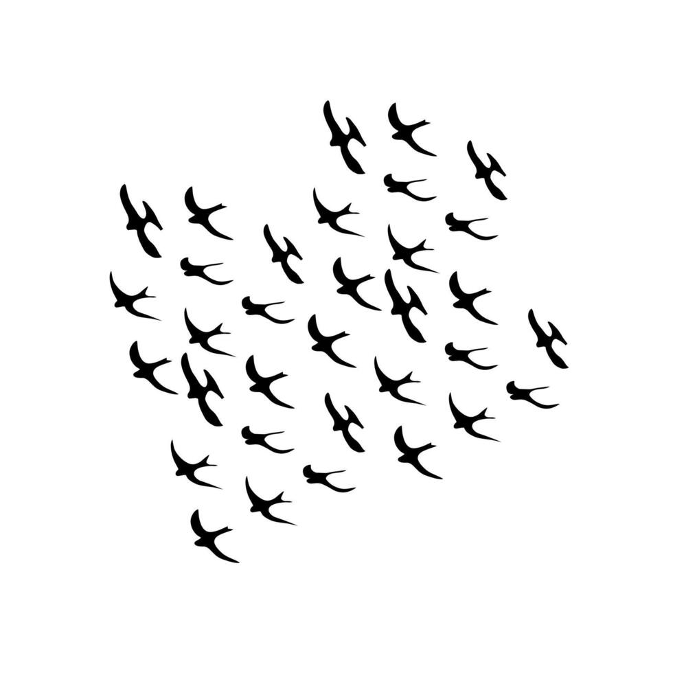 eine gruppe schwarzer vögel, die zusammen silhouetten fliegen. isoliert auf weißem Hintergrund. Vektor-Illustration vektor