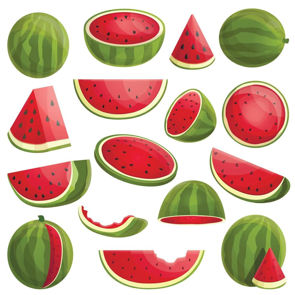Wassermelonen-Icons gesetzt, Cartoon-Stil vektor