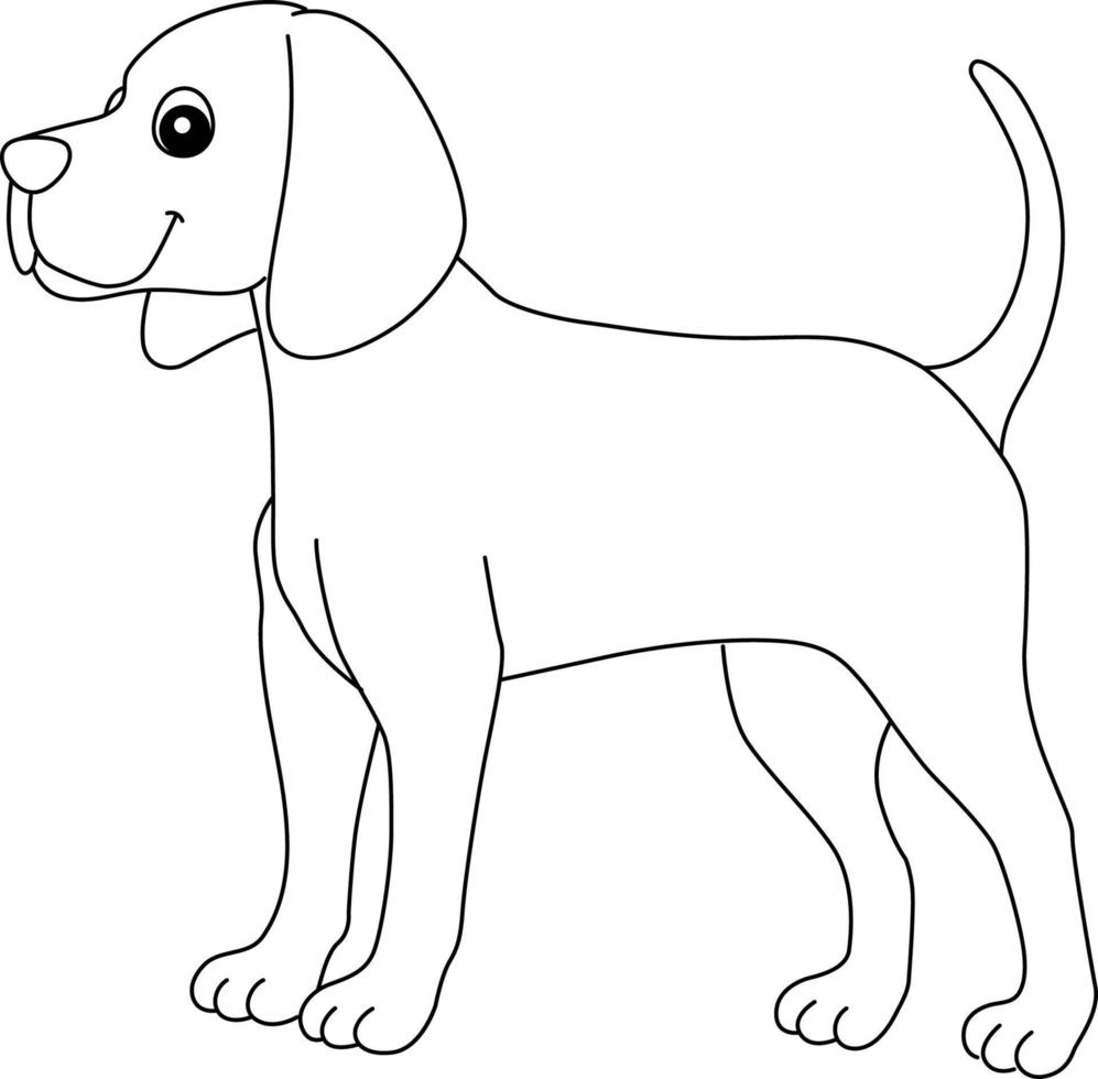coonhound hund isolierte farbseite für kinder vektor
