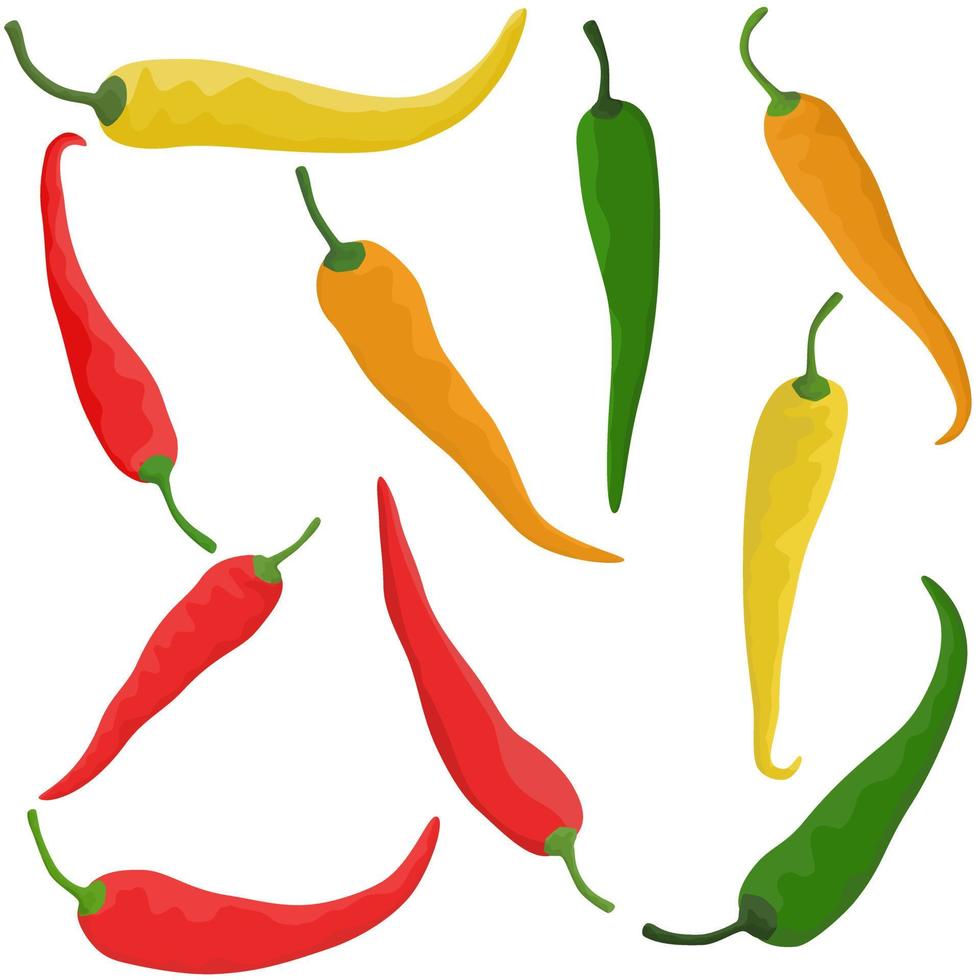 Bunte scharfe Chili-Mischung aus verschiedenen Rot-, Grün-, Gelb- und Orangetönen für scharfes Essen. vektor
