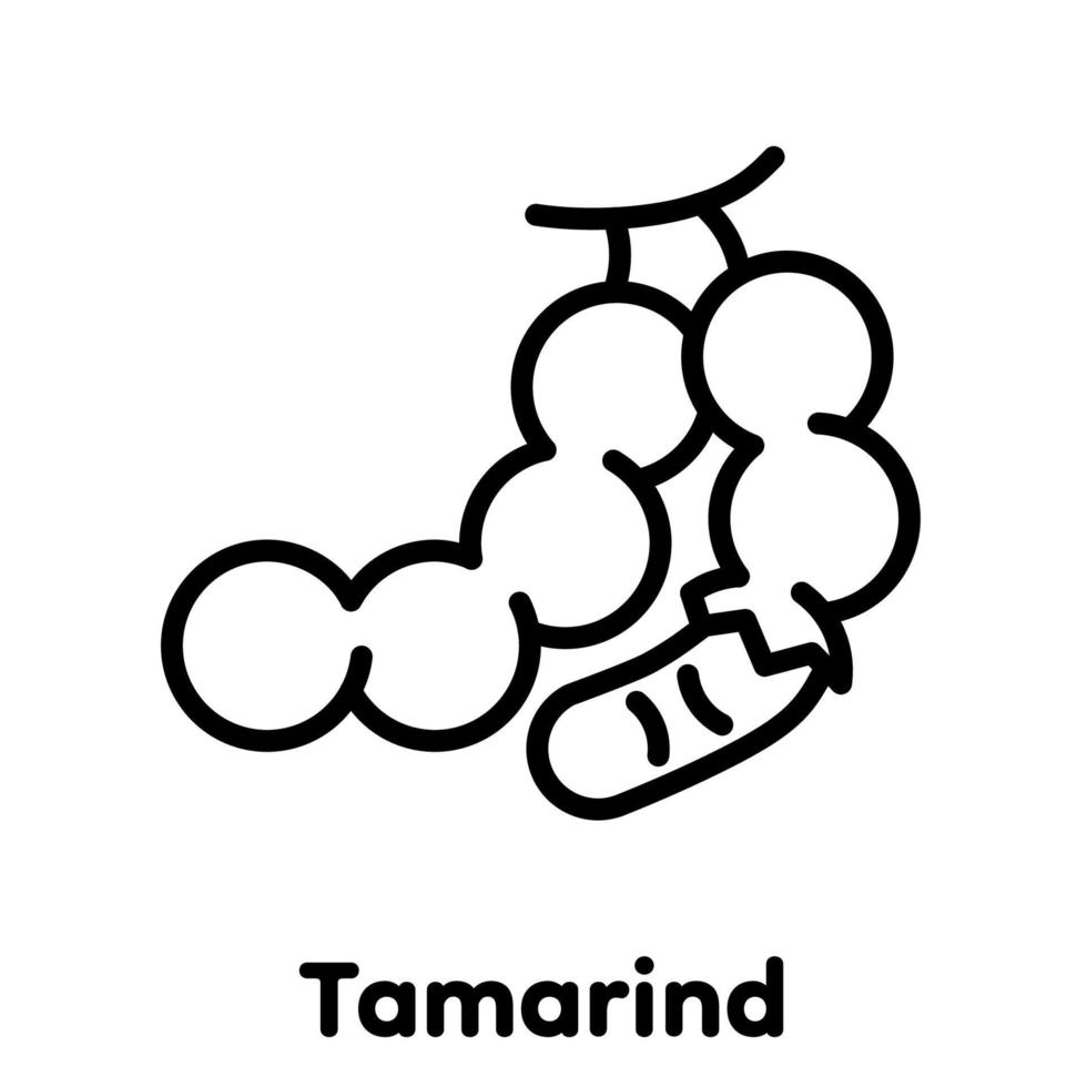 Tamarinde lineares Symbol, Vektor, Illustration. vektor