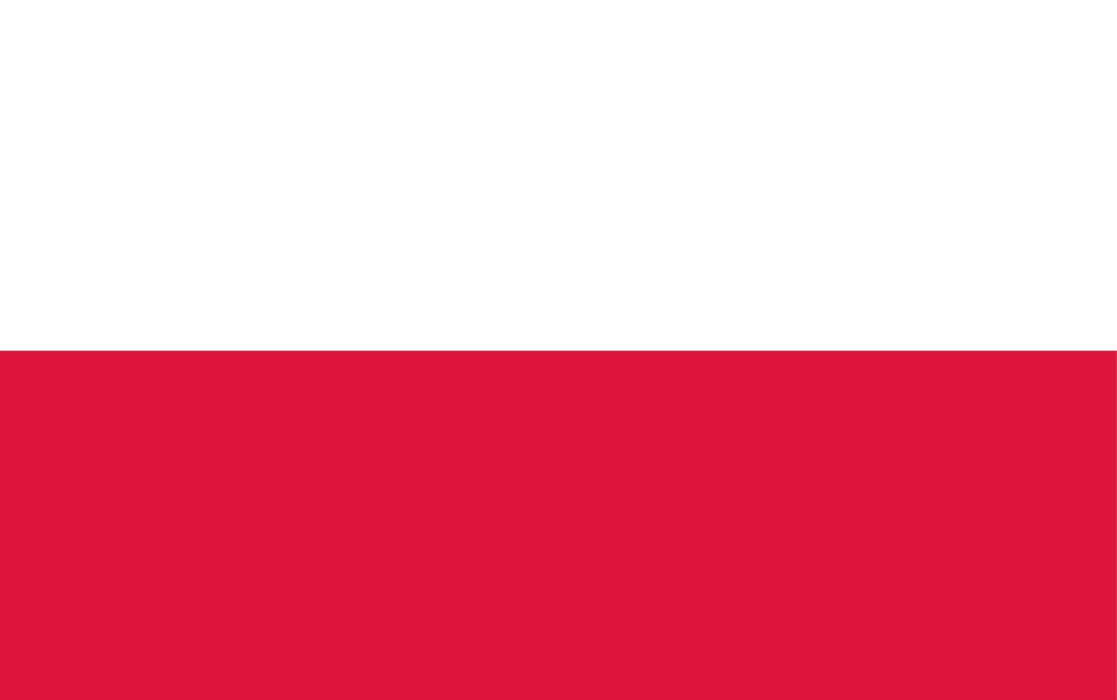 Polen vektor handritad flagga, polska mynt