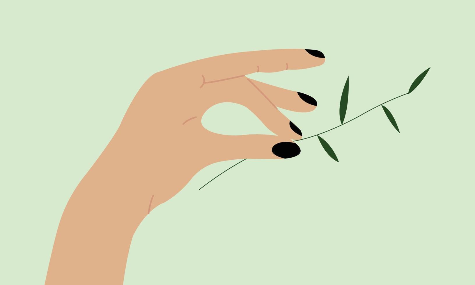 gren av olivträd i hand illustration. kvinna hand med löv. vektor hand med blommig gren för mall utskrift och design.