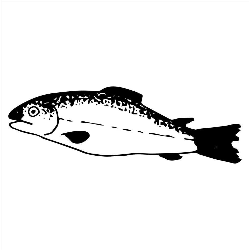 Ein einzelnes Vektorelement ist ein rosafarbener Lachsfisch. handgemalt. für Liebhaber der Jagd und des Angelns. Erstellen von Mustern, Aufklebern, Tapeten, Stoffen. vektor