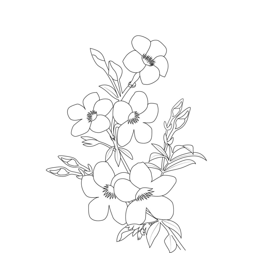 allamanda-blumen-farbseitenlinienkunst mit blühenden blumenblättern und blattillustration vektor