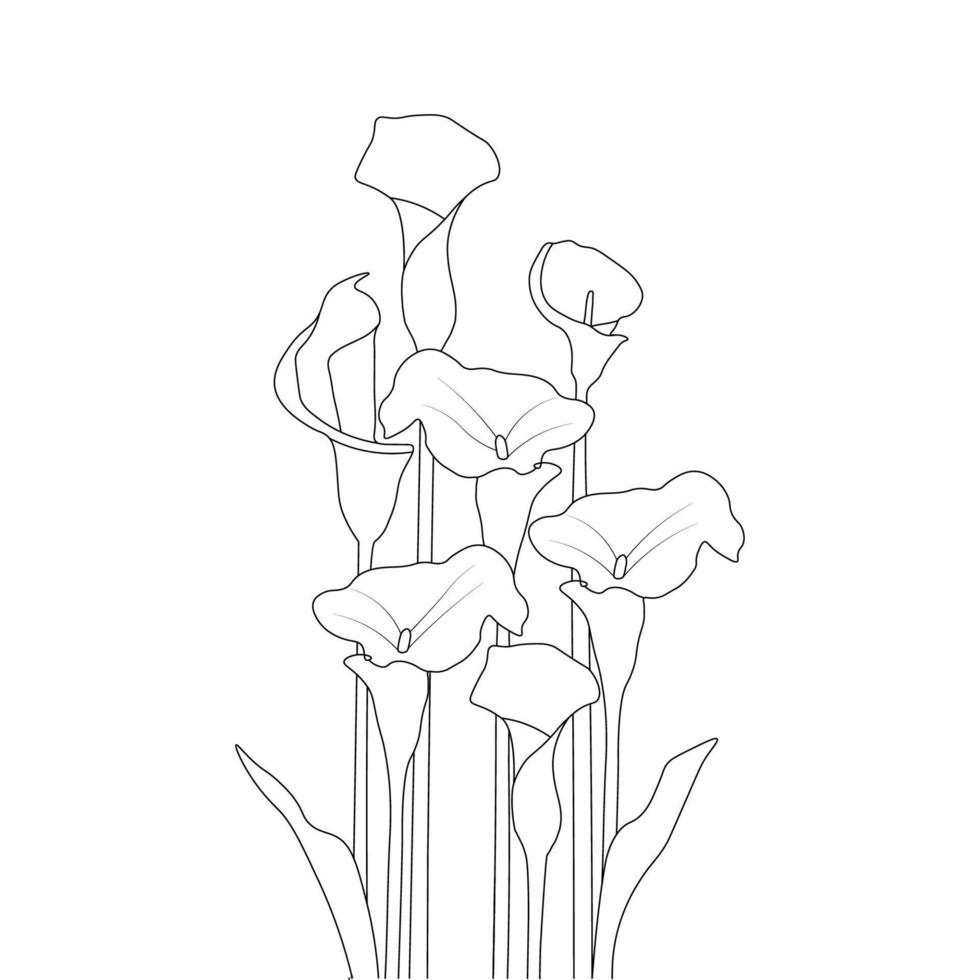 Calla-Blumenlinie Kunstdesign der Malbuchseiten-Illustrationsvektorgraphik vektor