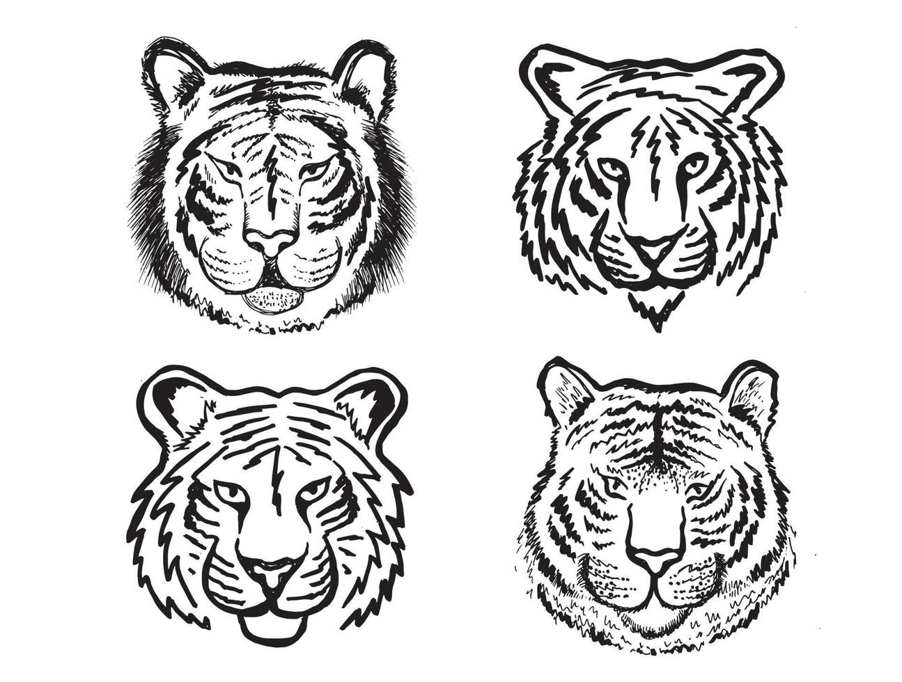 Tigerkopf-Set, handgezeichnete Illustration, isoliert auf weißem Hintergrund. vektor