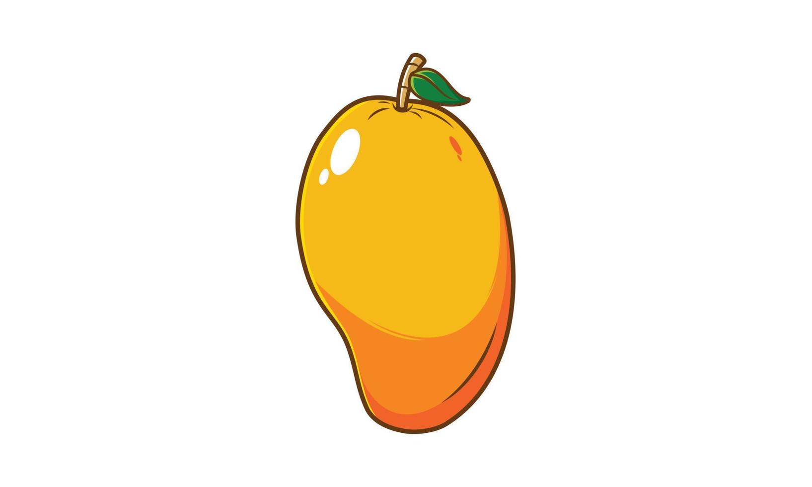 Mango-Frucht-Vektor-Illustration-design vektor
