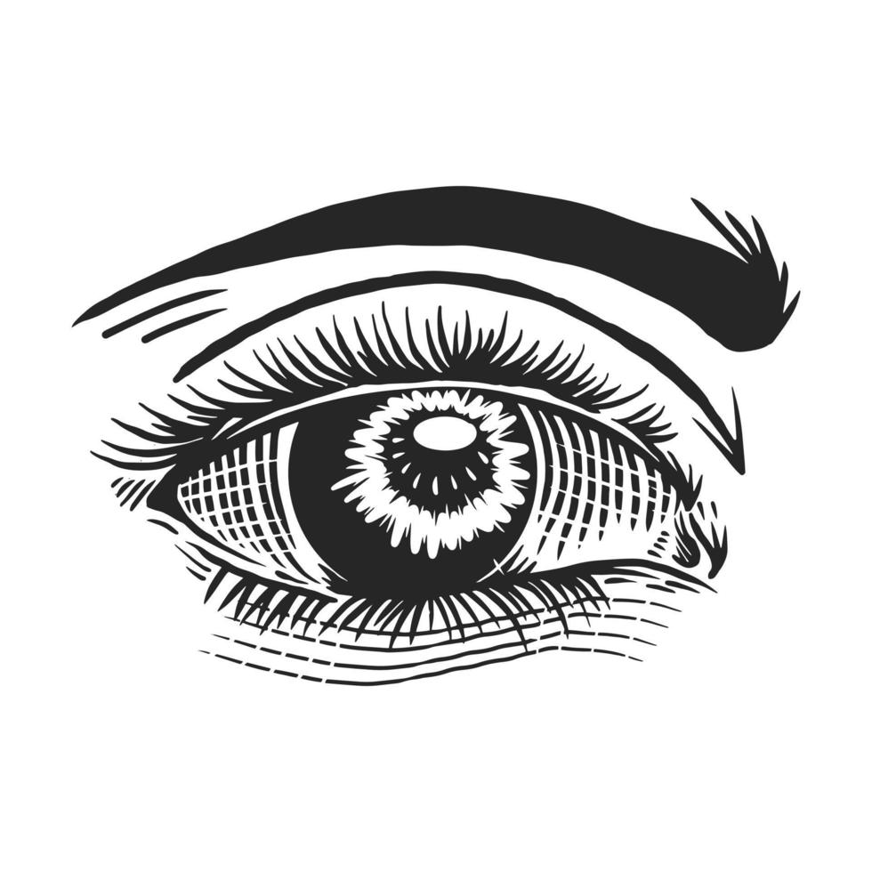 vintage illustration av mänskliga ögat vektor