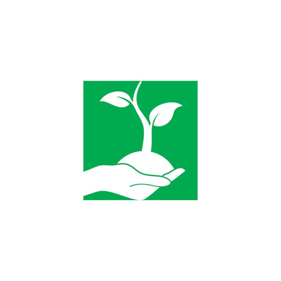 händer som håller växt, hand med blad enkel vektor ikon. symbol, logotyp illustration