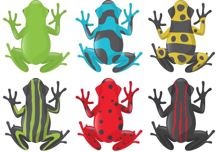 Poison Frog Vektoren