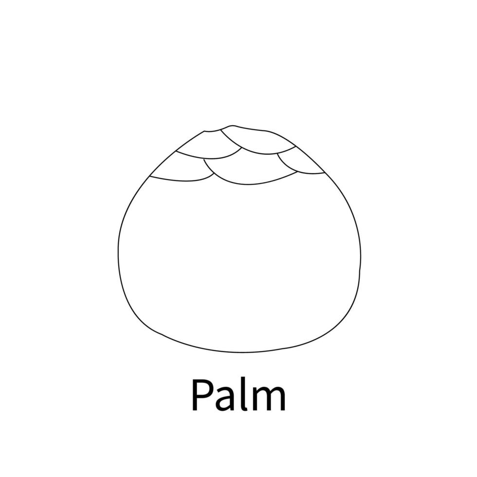 Einfache Früchte Malvorlagen für Kinder und Kleinkinder Palme vektor