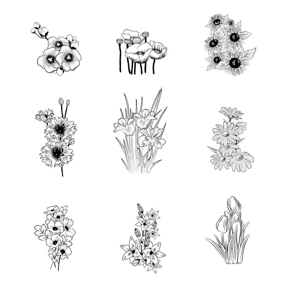 Umriss verschiedener Arten von Blumen vektor