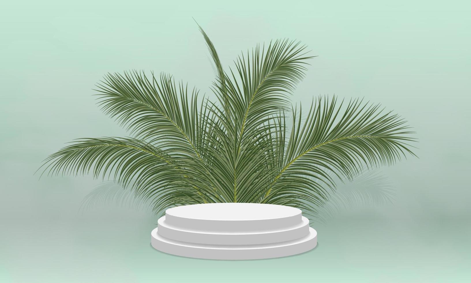 weißes produktpräsentationspodium mit kokosnussblättern vektor
