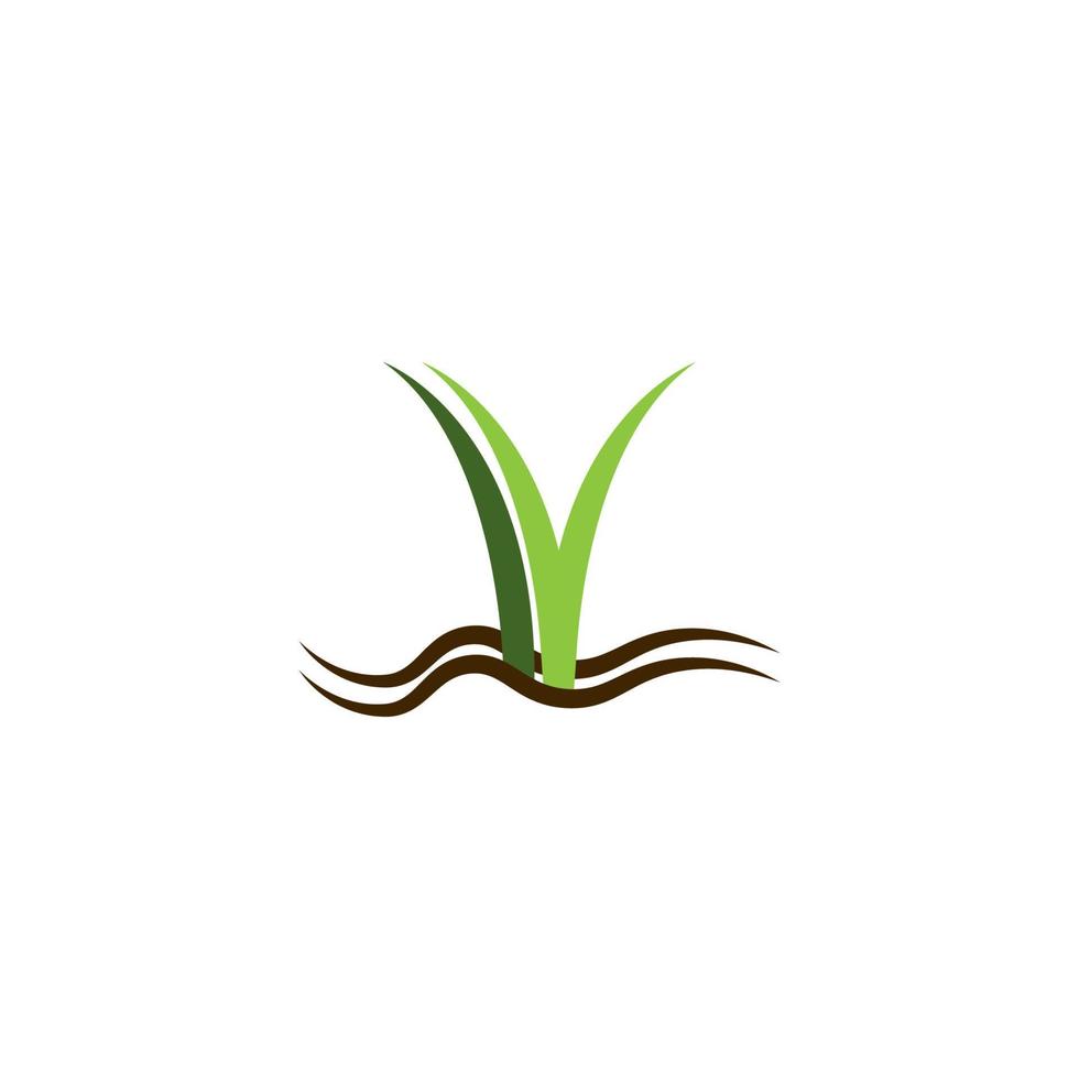 Gras-Logo-Vektor-Illustration-Design-Vorlage vektor