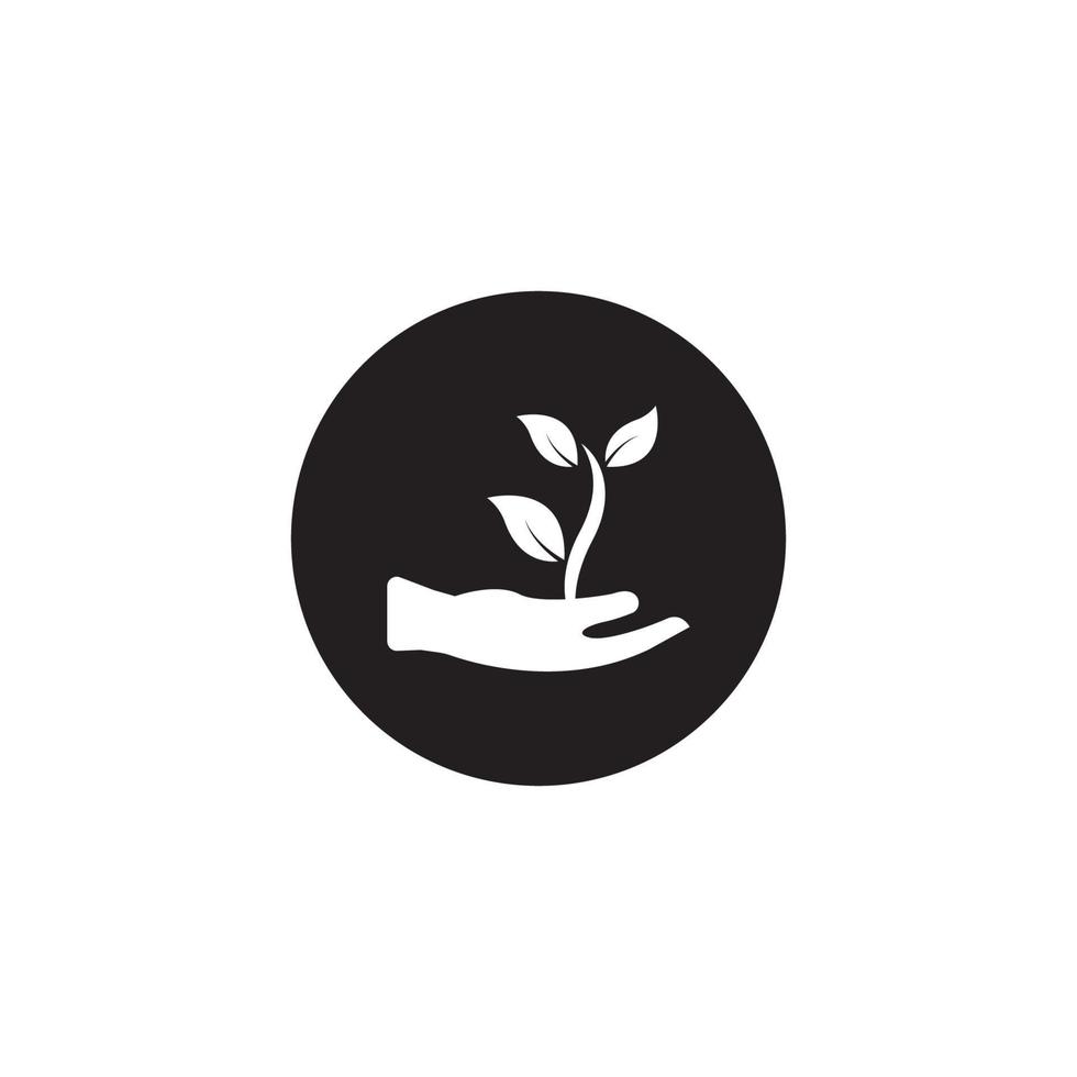 Pflanzen-Logo-Vektor-Illustration-Design-Vorlage. vektor