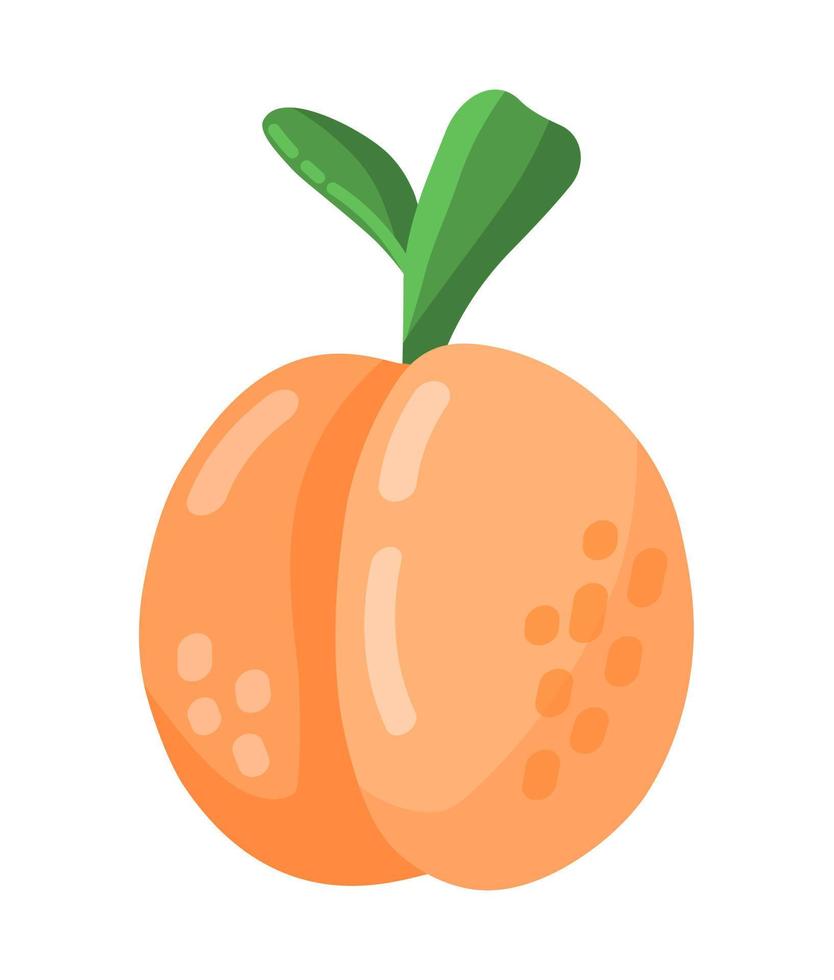 bunte Cartoon-Pfirsich- oder Aprikosenfrucht-Symbol isoliert auf weißem Hintergrund. Gekritzel einfacher Vektor Sommer saftiges Essen. Saftpaket oder Logo-Designelement.