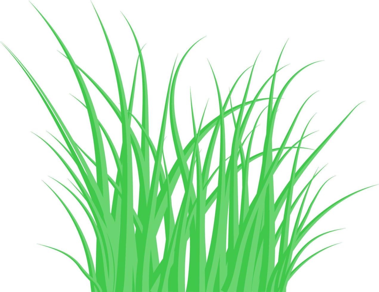 grönt gräs. buskgräset. vektor illustration.