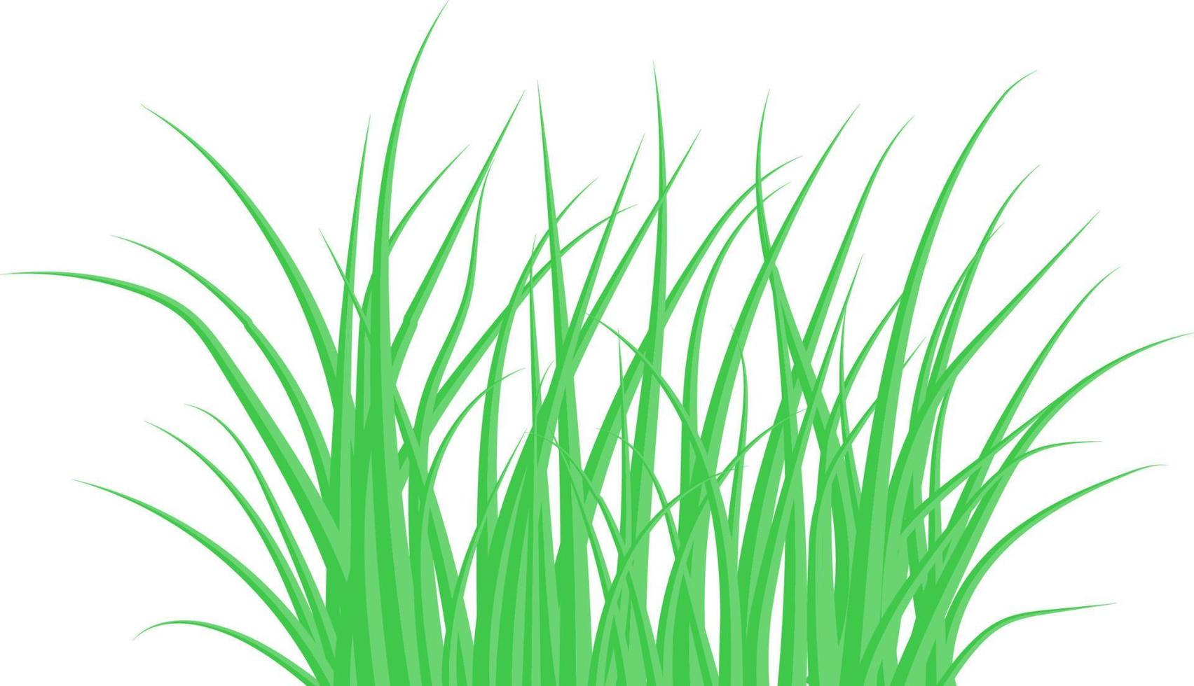 grönt gräs. buskgräset. vektor illustration.