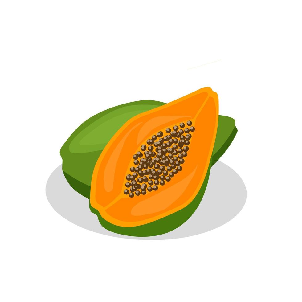 Papaya-Frucht-Illustrationsbild. Papaya-Frucht-Symbol, Früchte vektor