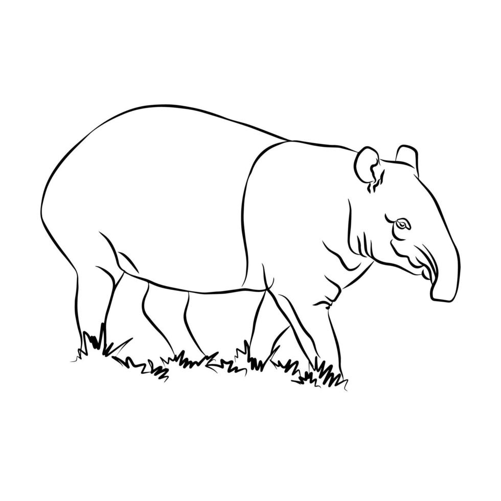 malayun tapir målningen är mycket vacker. vektor