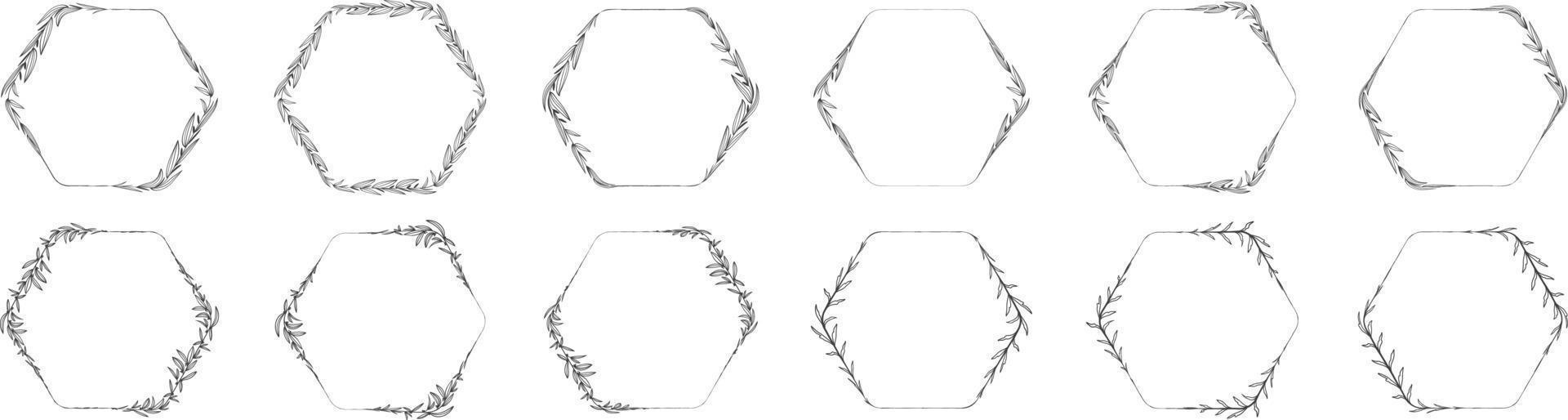 hexagon ram blad krans vektor