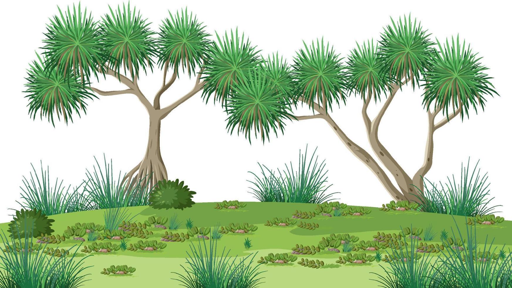 isolierte Waldlandschaft auf weißem Hintergrund vektor