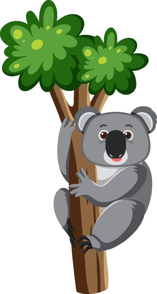 koala klättra på ett träd i tecknad stil vektor