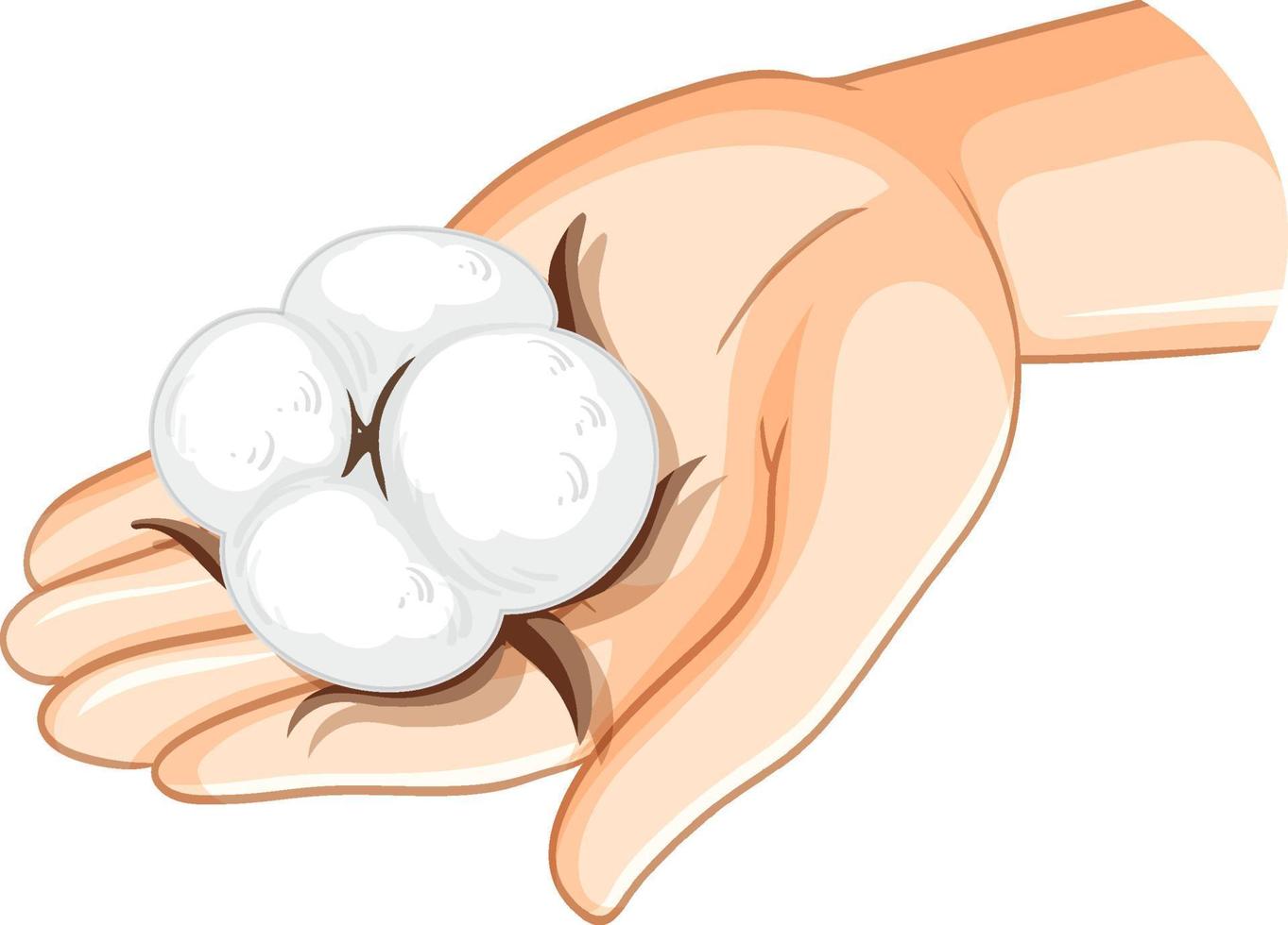 vit bomull på mänsklig hand vektor