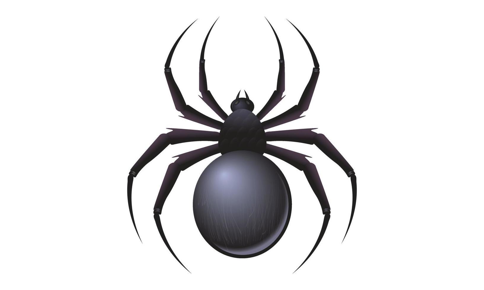 realistisk svart spindel på vit bakgrund. vild spindel på vit bakgrund vektor