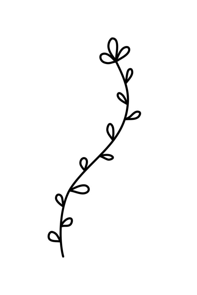 botanische illustration der einfachen hand gezeichneten blume des vektors. Strichzeichnungen, minimales Designelement. elegante und zarte pflanzengekritzel für branding, grafikdesign. Frühlingsblumen vektor